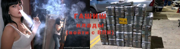 шишки Новозыбков