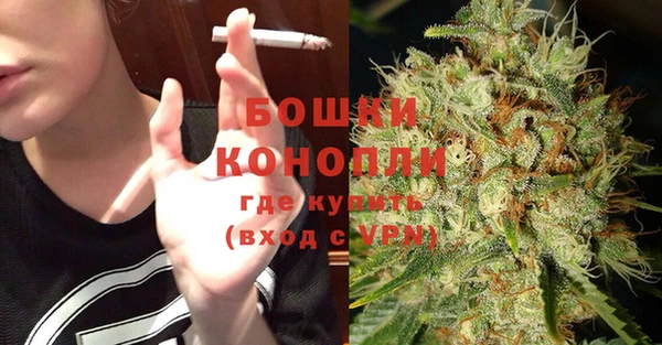 ешки Новодвинск