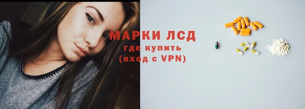 шишки Новозыбков