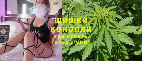 шишки Новозыбков