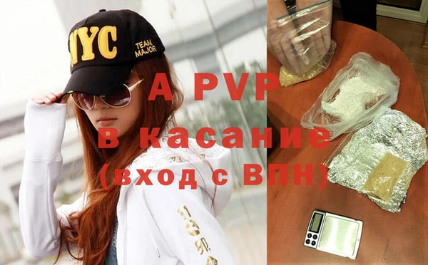 шишки Новозыбков