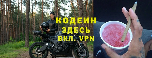 шишки Новозыбков