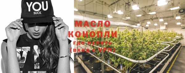 шишки Новозыбков