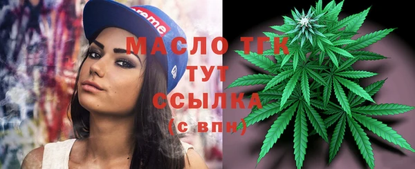 ешки Новодвинск