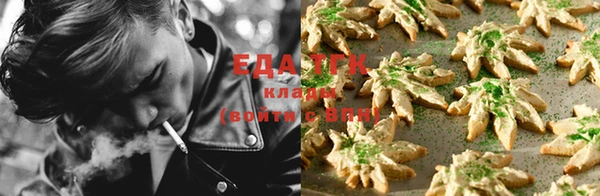 шишки Новозыбков
