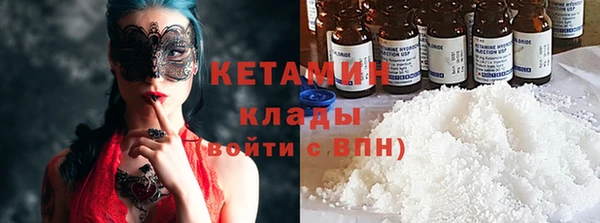 шишки Новозыбков