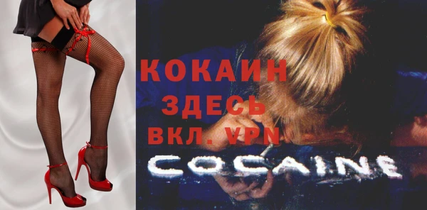 ешки Новодвинск