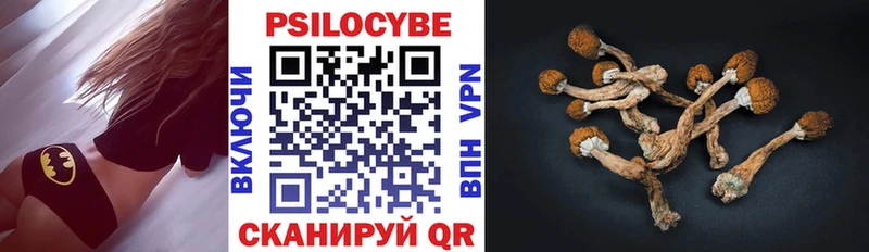 Галлюциногенные грибы прущие грибы  Кашин 